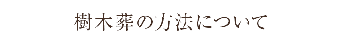 樹木葬の方法について